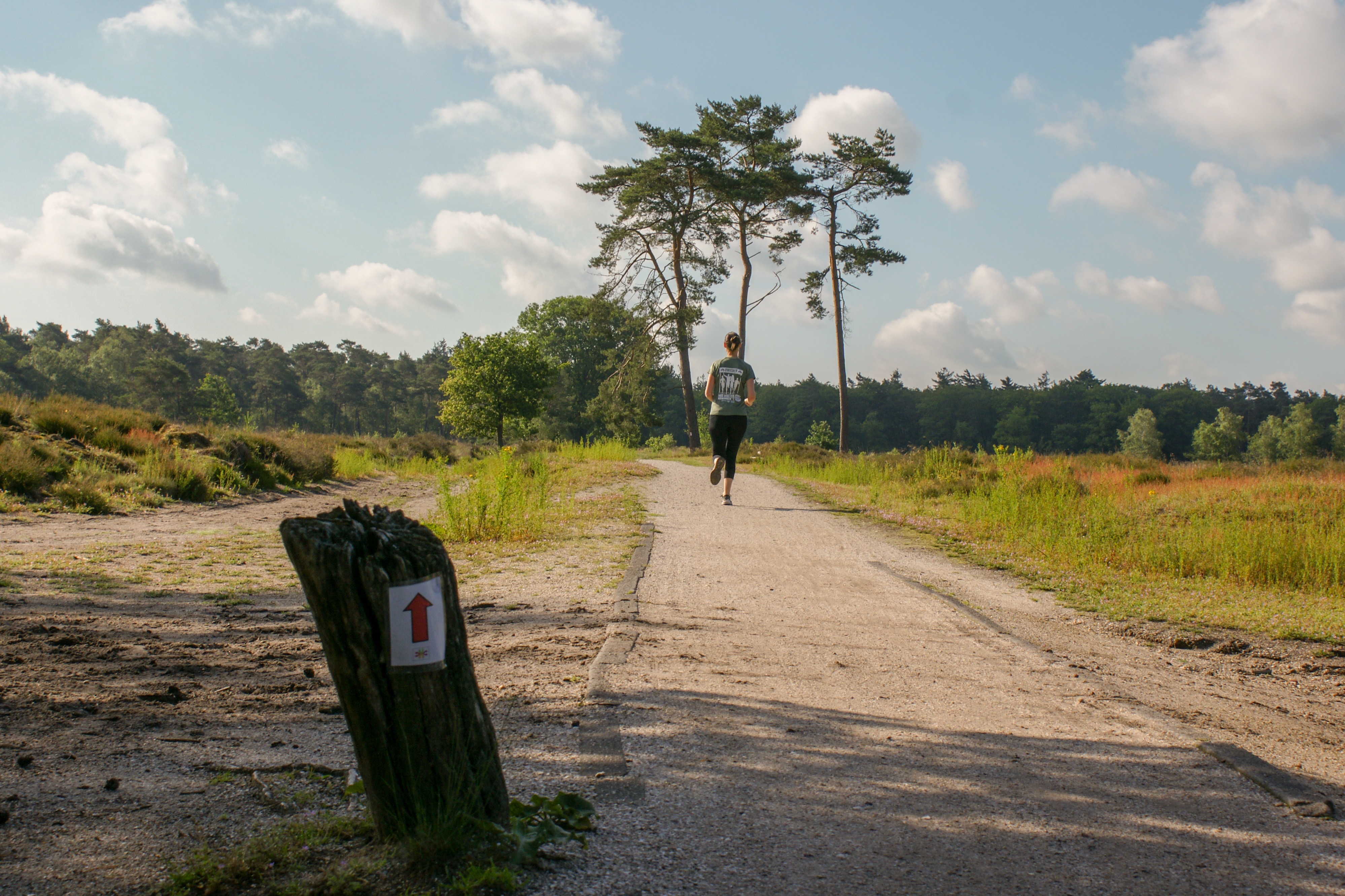 Hardlopen geen zin